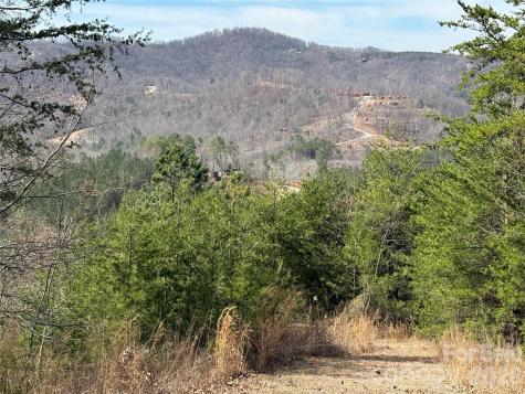 Lot 165 Pinegrove Drive Bostic NC 28018