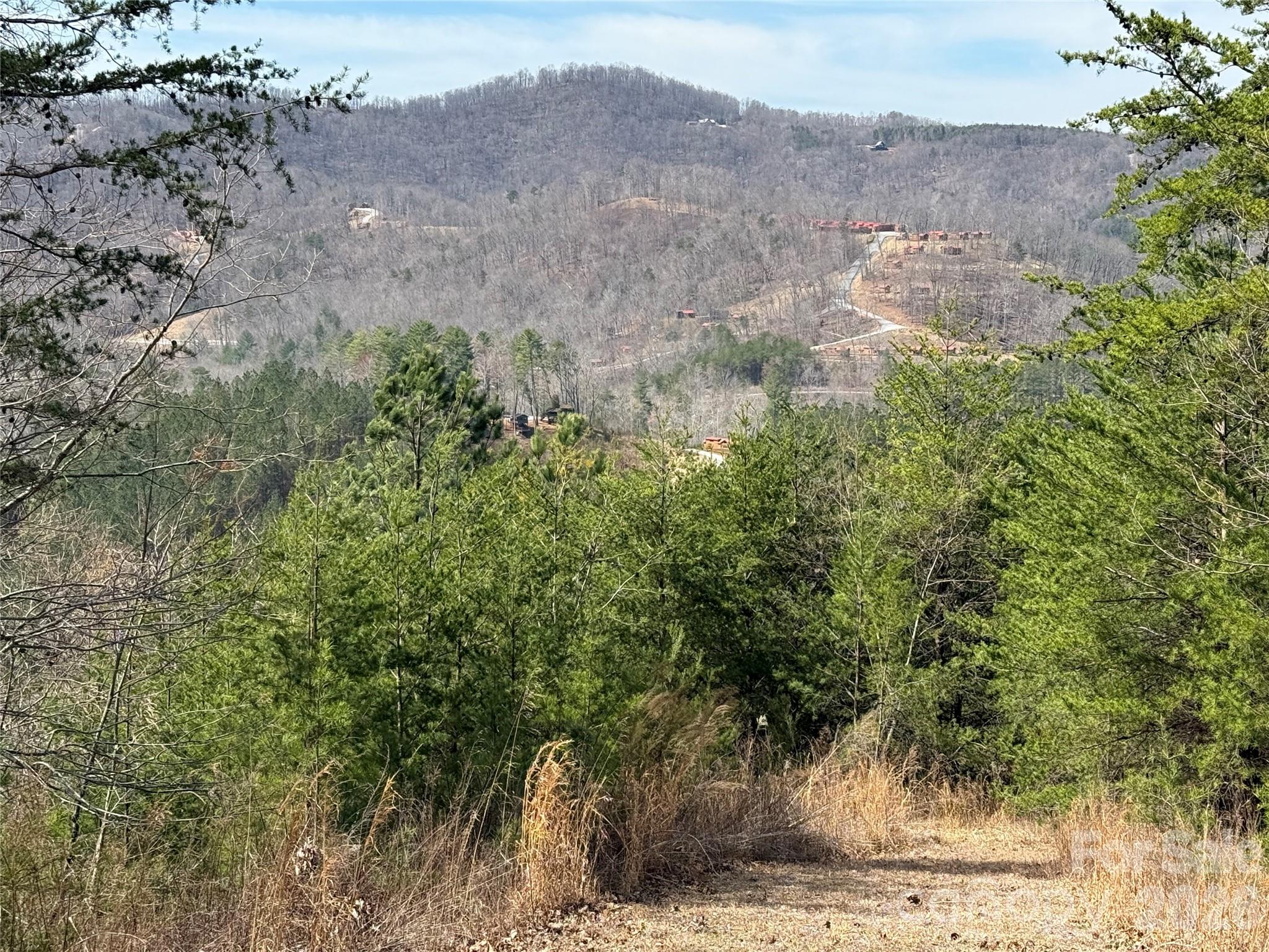 Lot 165 Pinegrove Drive Bostic NC 28018