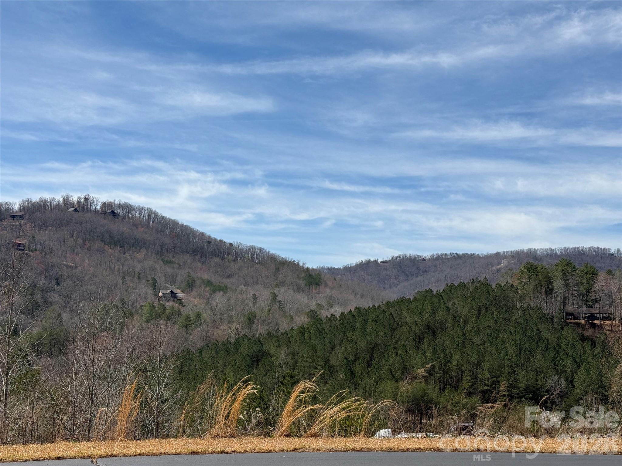 Lot 165 Pinegrove Drive Bostic NC 28018