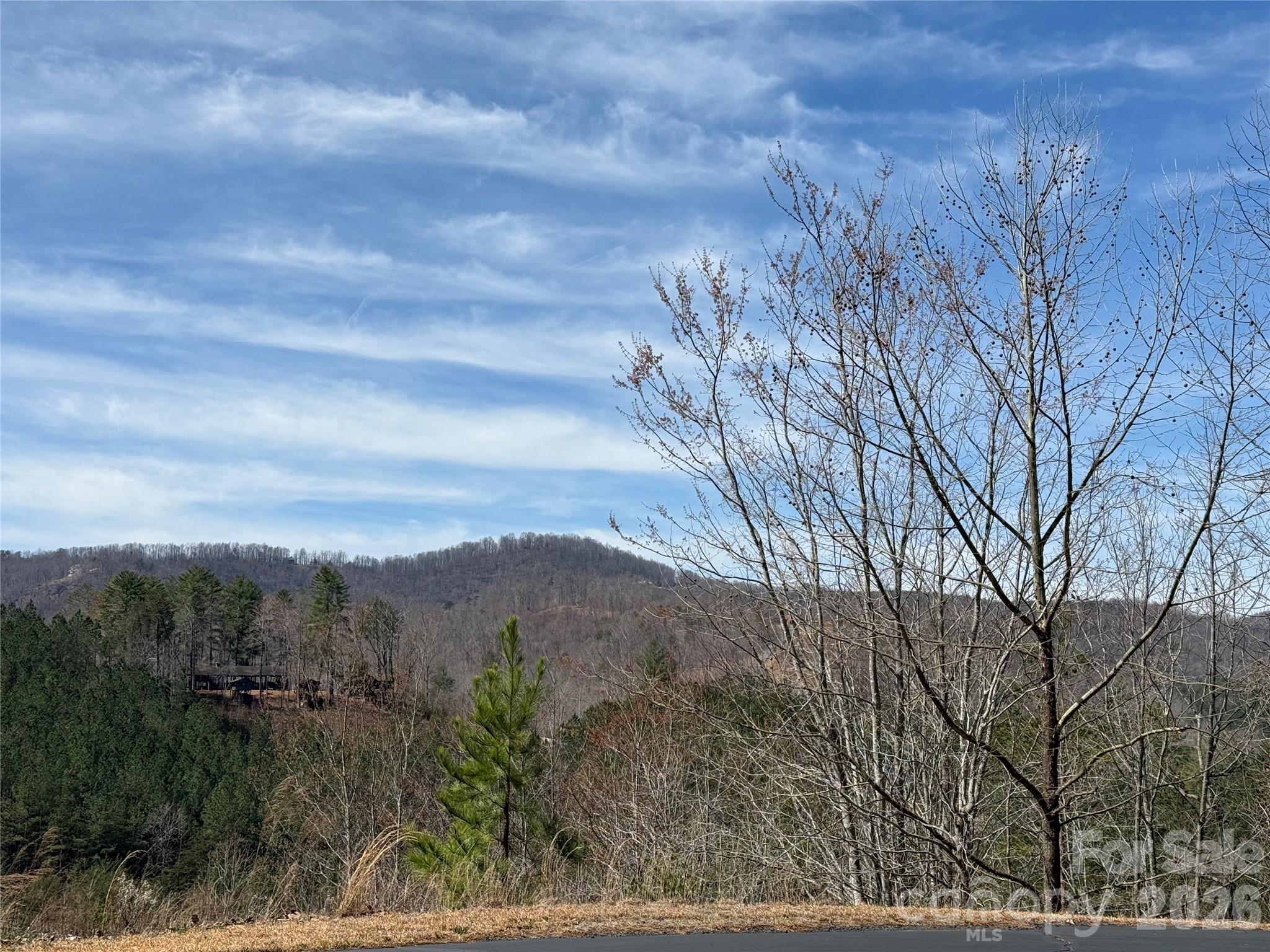 Lot 165 Pinegrove Drive Bostic NC 28018
