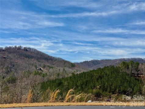 Lot 165 Pinegrove Drive Bostic NC 28018