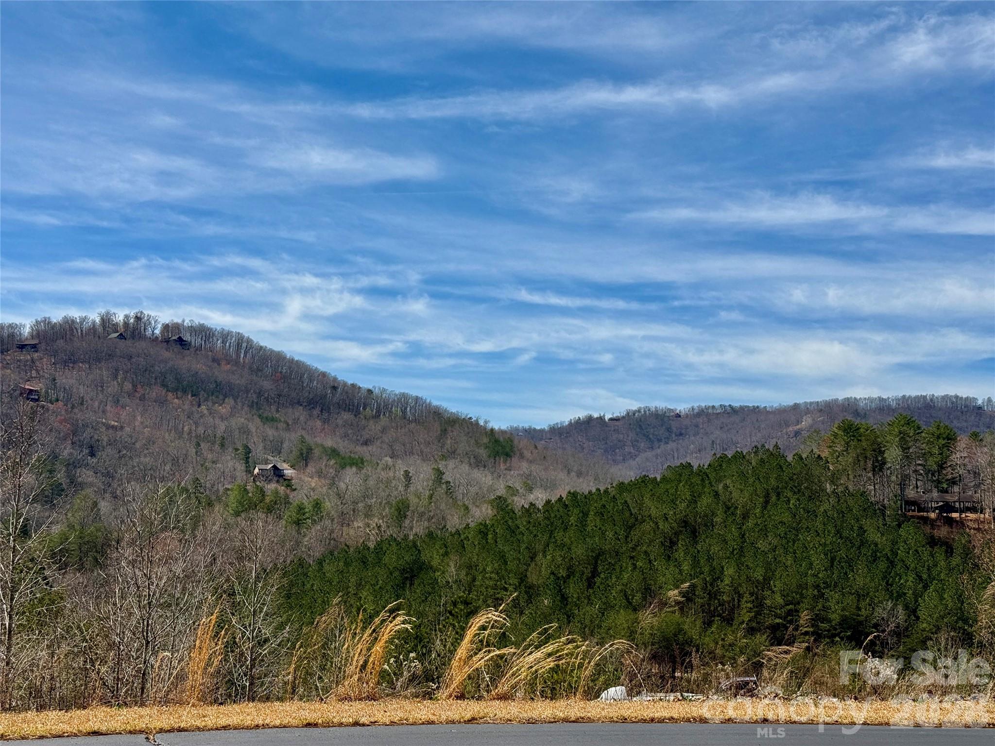 Lot 165 Pinegrove Drive Bostic NC 28018