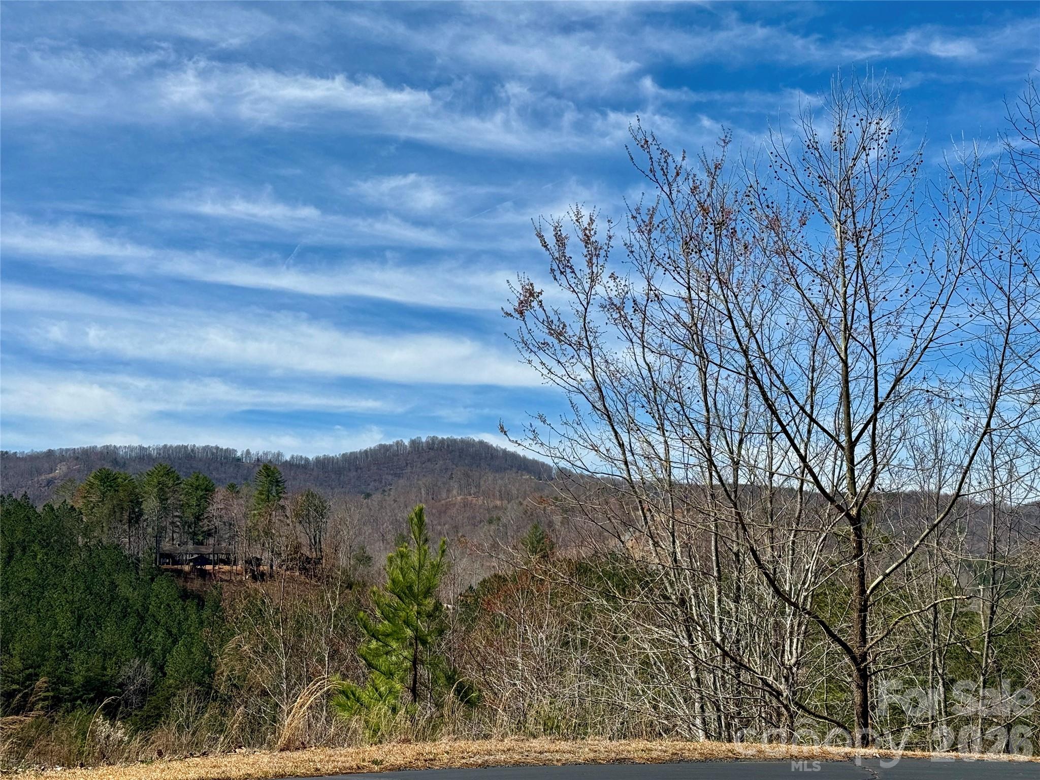 Lot 165 Pinegrove Drive Bostic NC 28018