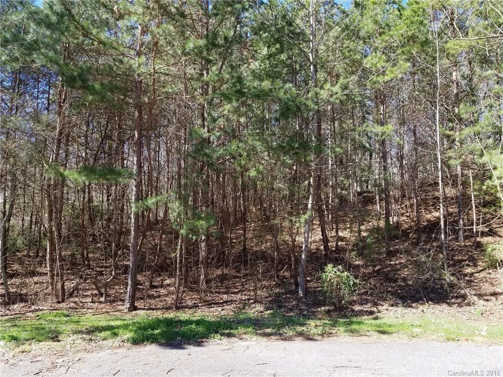 8 Hawtree Court Weaverville NC 28787