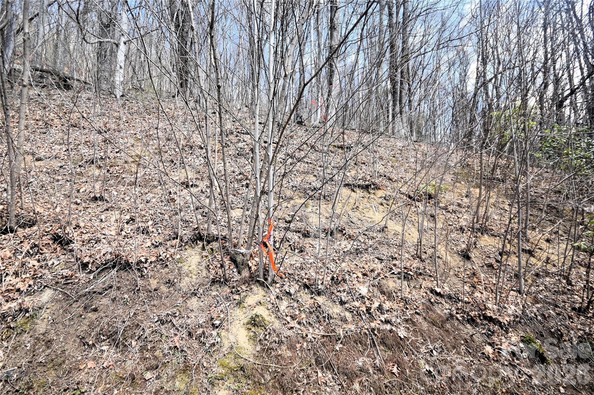 34 Montana Stone Trail Waynesville NC 28785