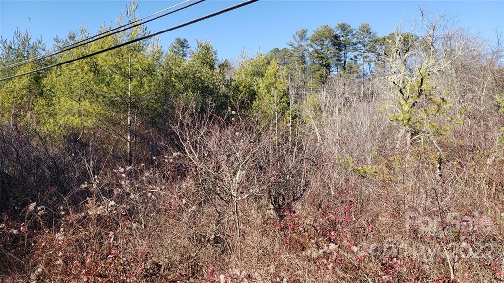 000 Greenville Highway Brevard NC 28712