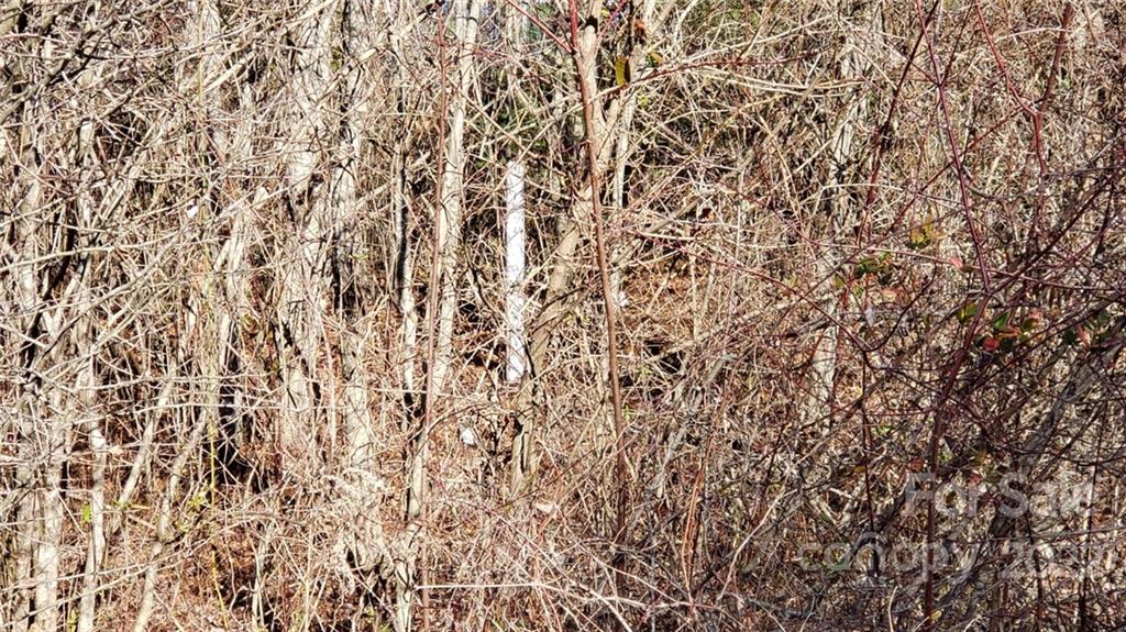 000 Greenville Highway Brevard NC 28712