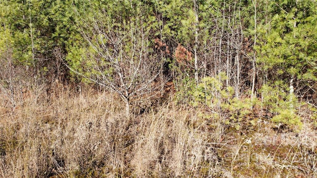 000 Greenville Highway Brevard NC 28712
