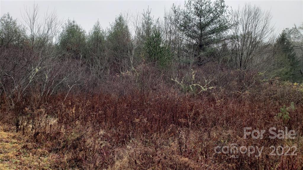 000 Greenville Highway Brevard NC 28712