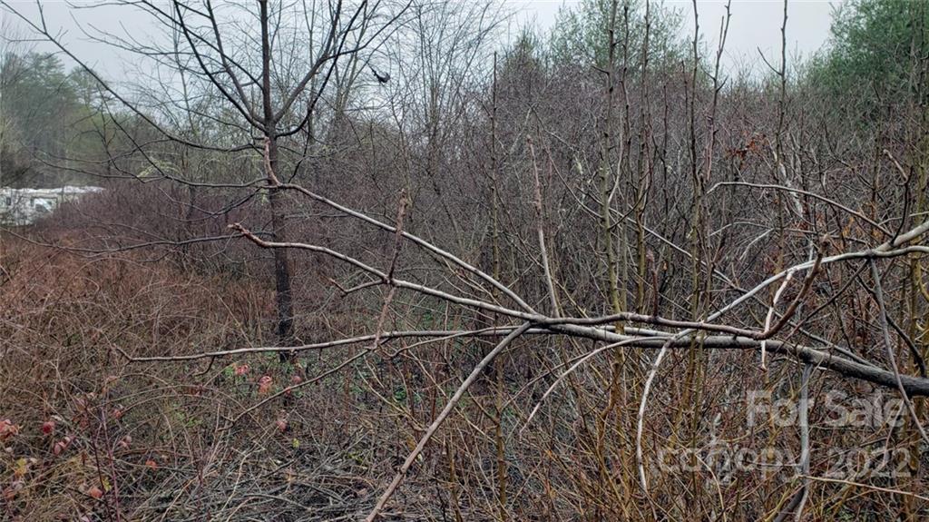 000 Greenville Highway Brevard NC 28712