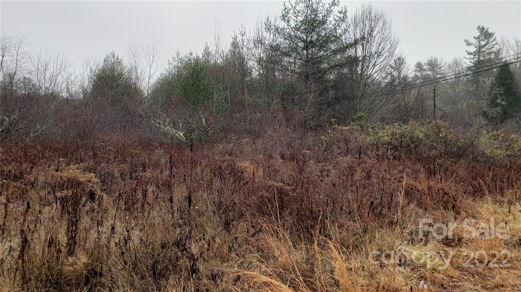 000 Greenville Highway Brevard NC 28712