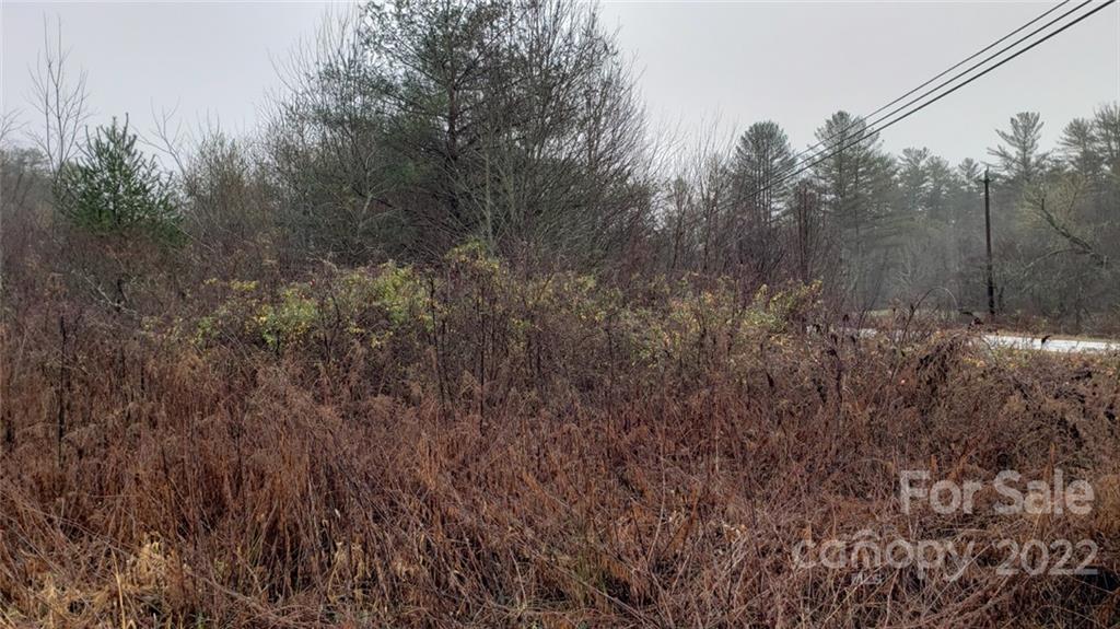 000 Greenville Highway Brevard NC 28712