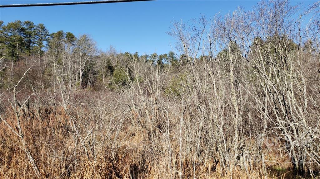000 Greenville Highway Brevard NC 28712