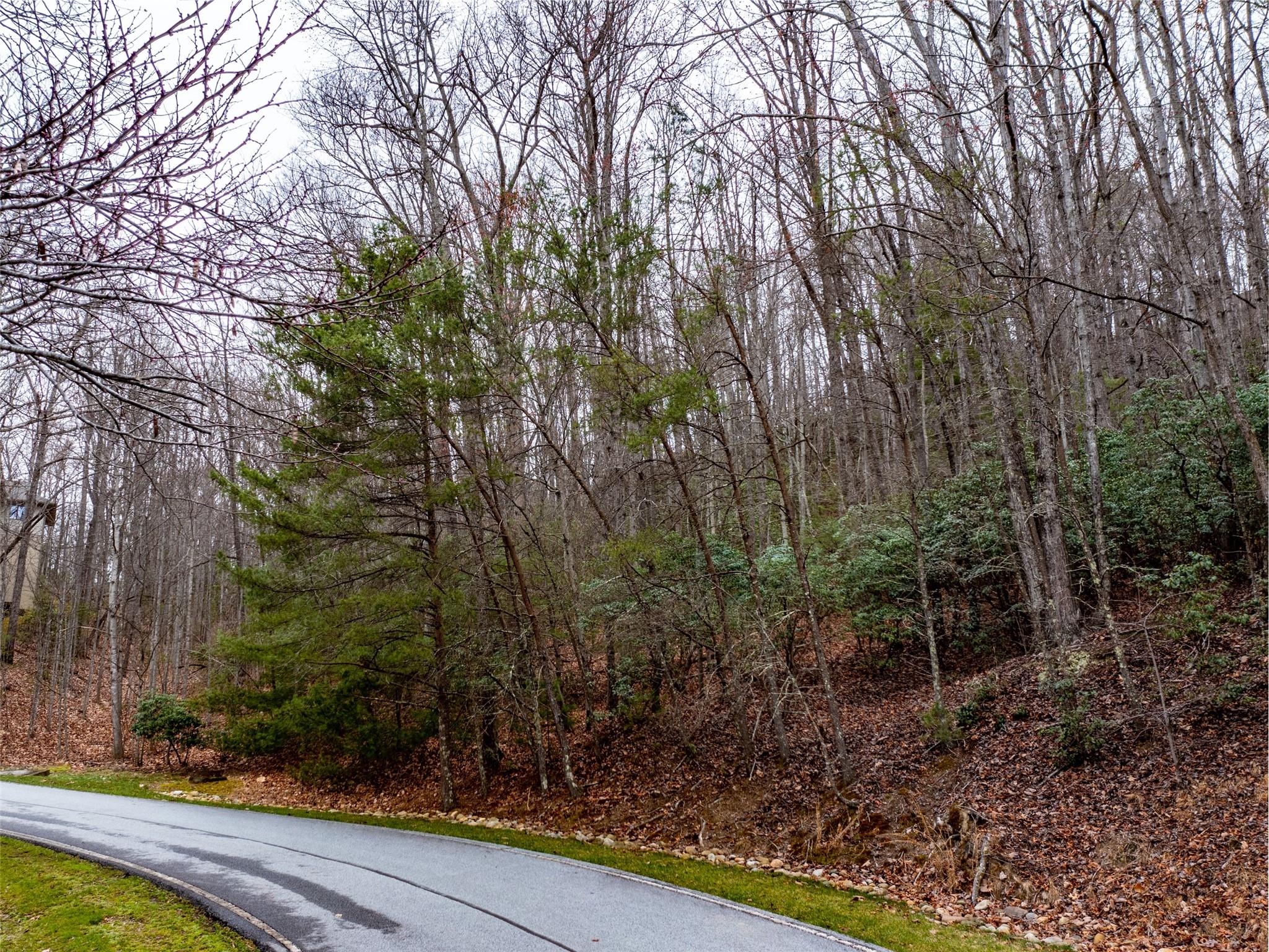 214 Chimney Crossing Hendersonville NC 28739