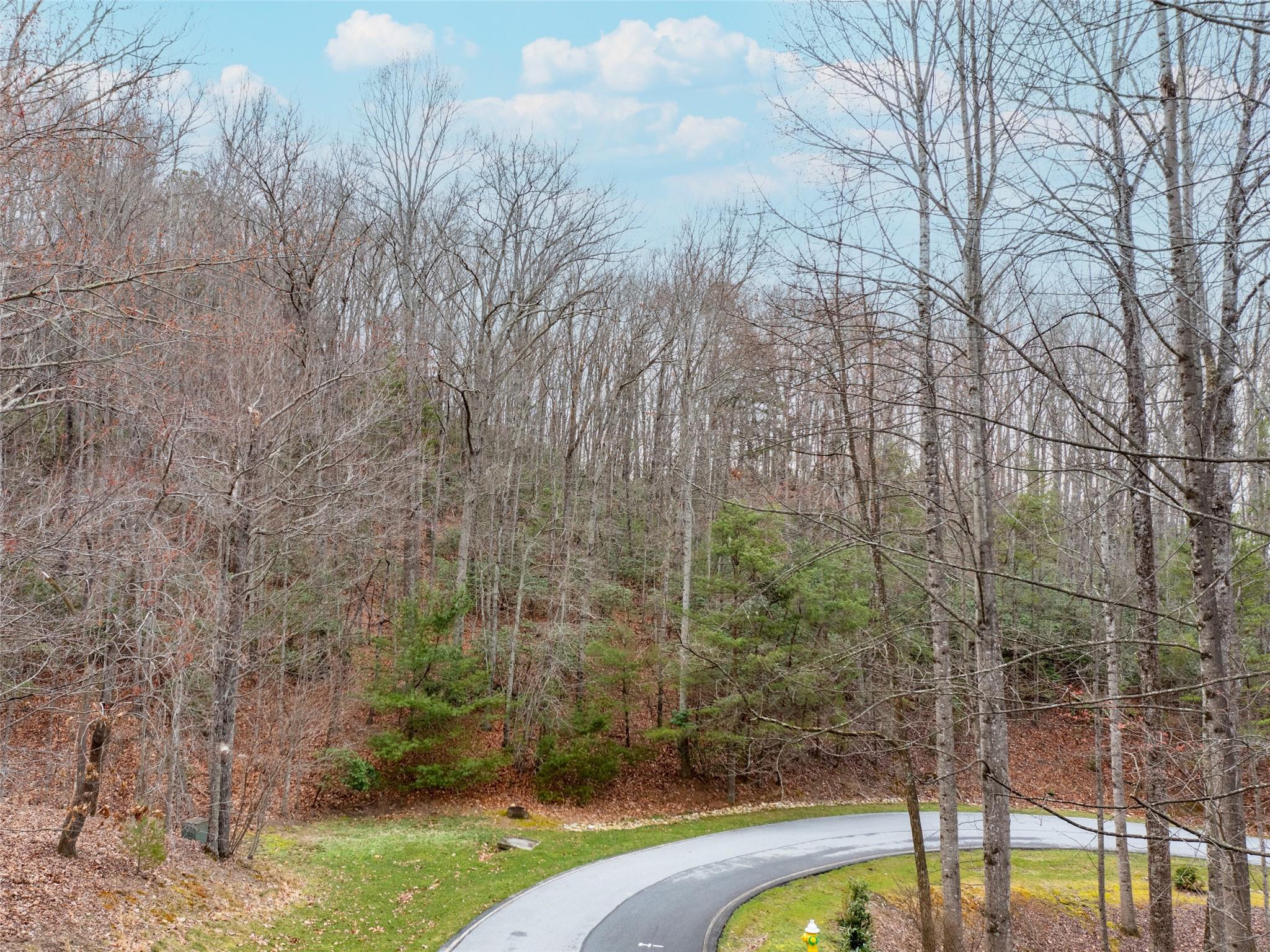 214 Chimney Crossing Hendersonville NC 28739