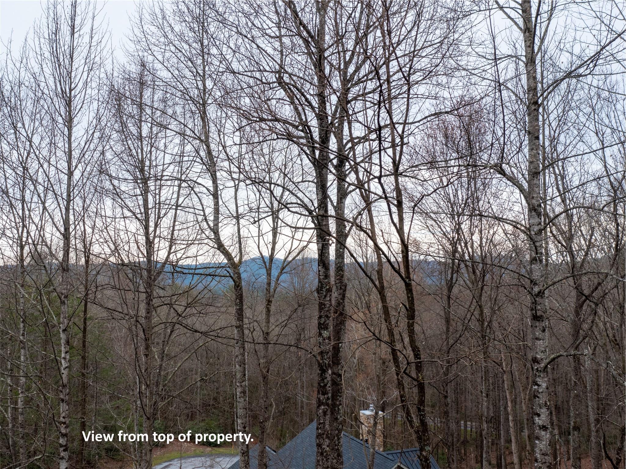 214 Chimney Crossing Hendersonville NC 28739