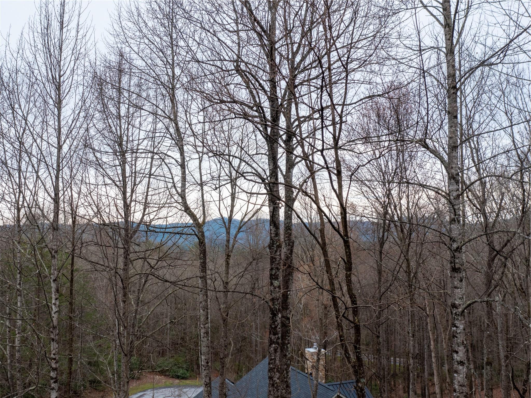 214 Chimney Crossing Hendersonville NC 28739