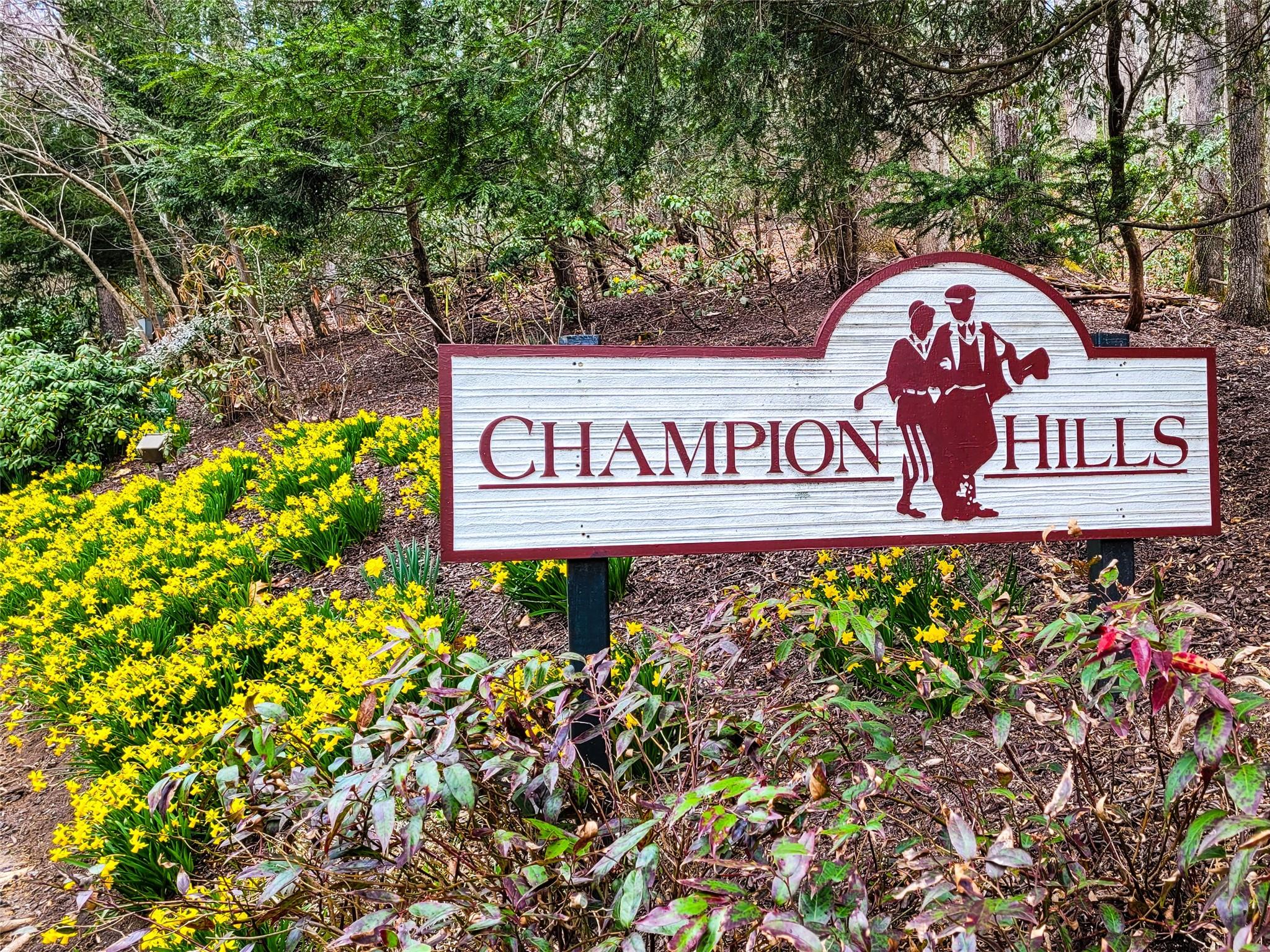 214 Chimney Crossing Hendersonville NC 28739
