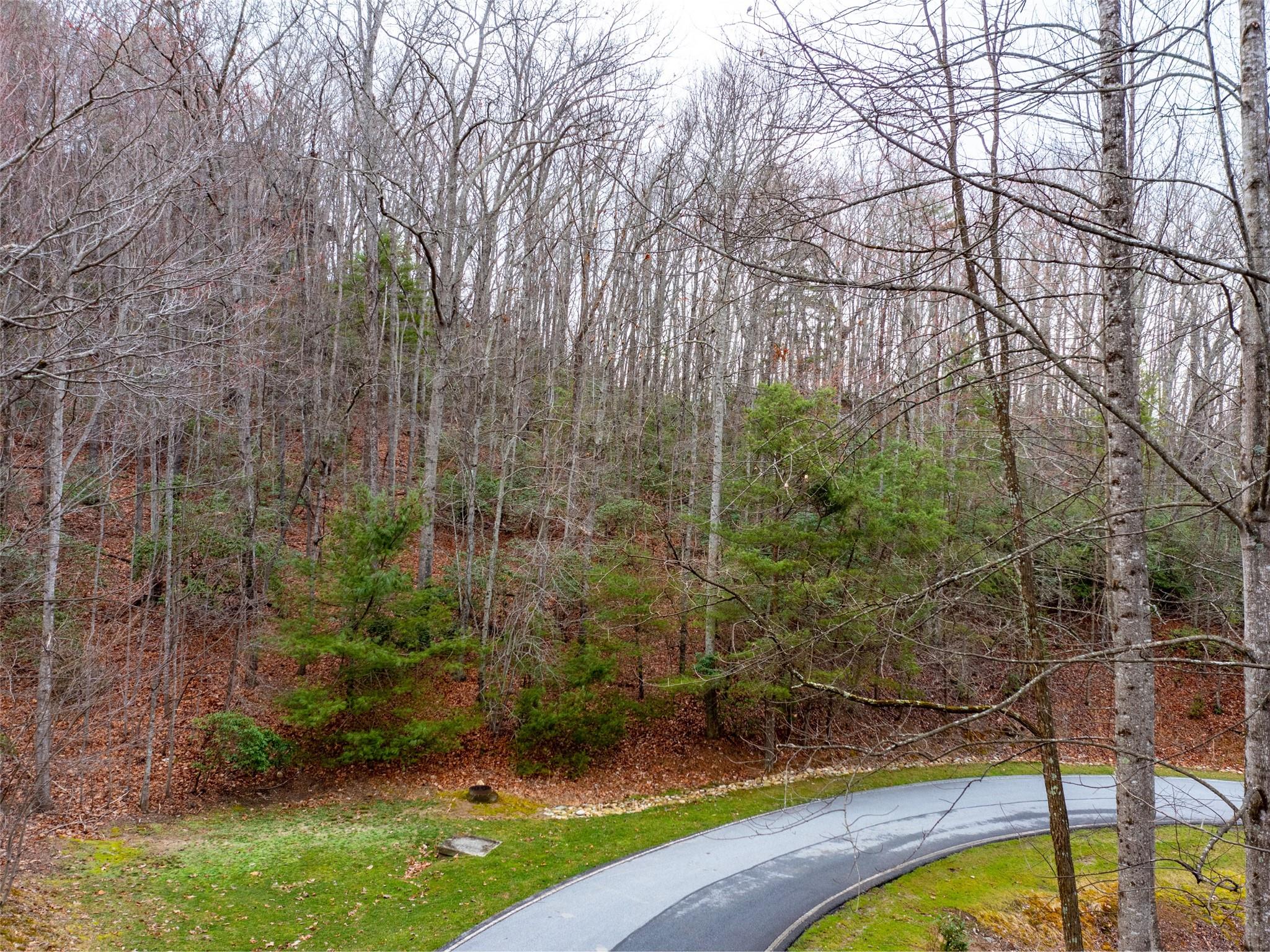 214 Chimney Crossing Hendersonville NC 28739