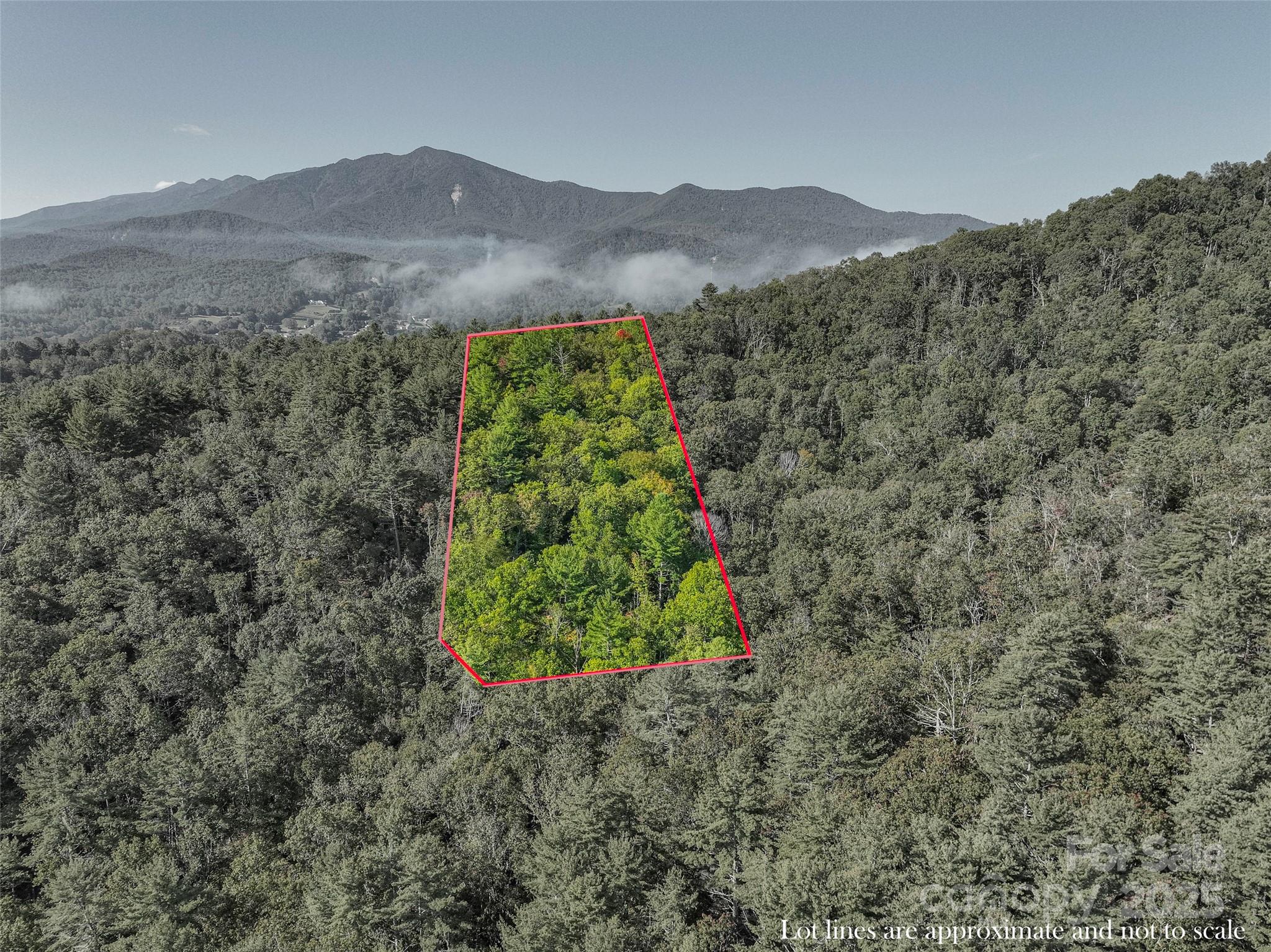 Lot 4 Rosewood Lane Burnsville NC 28714
