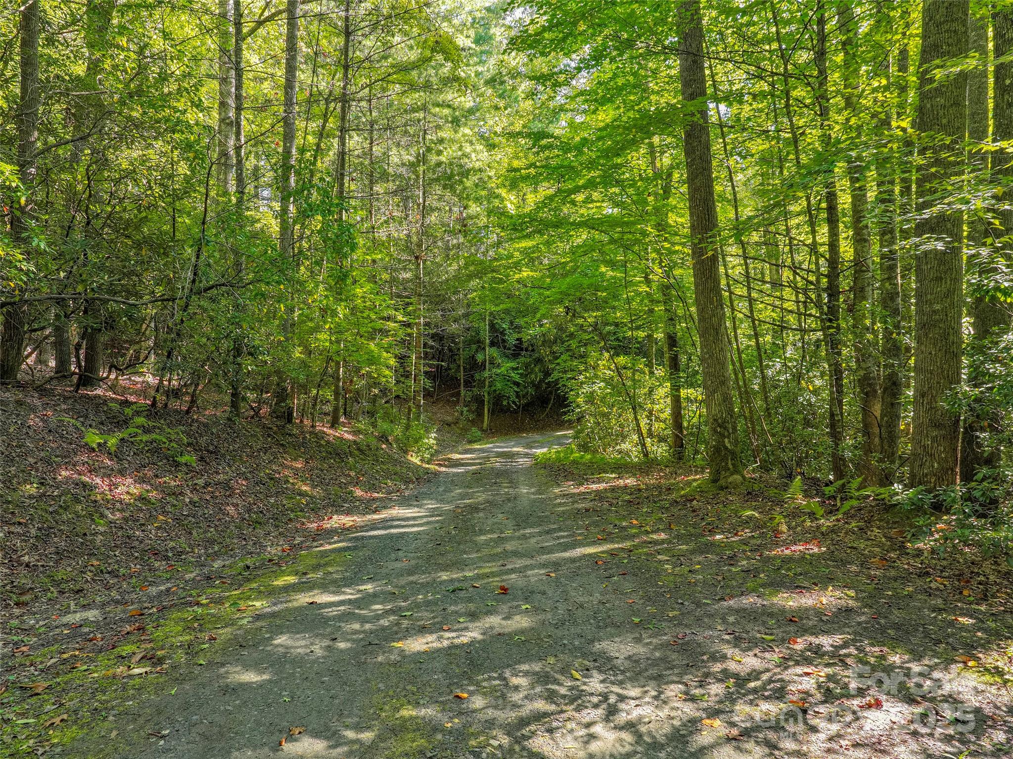 Lot 4 Rosewood Lane Burnsville NC 28714