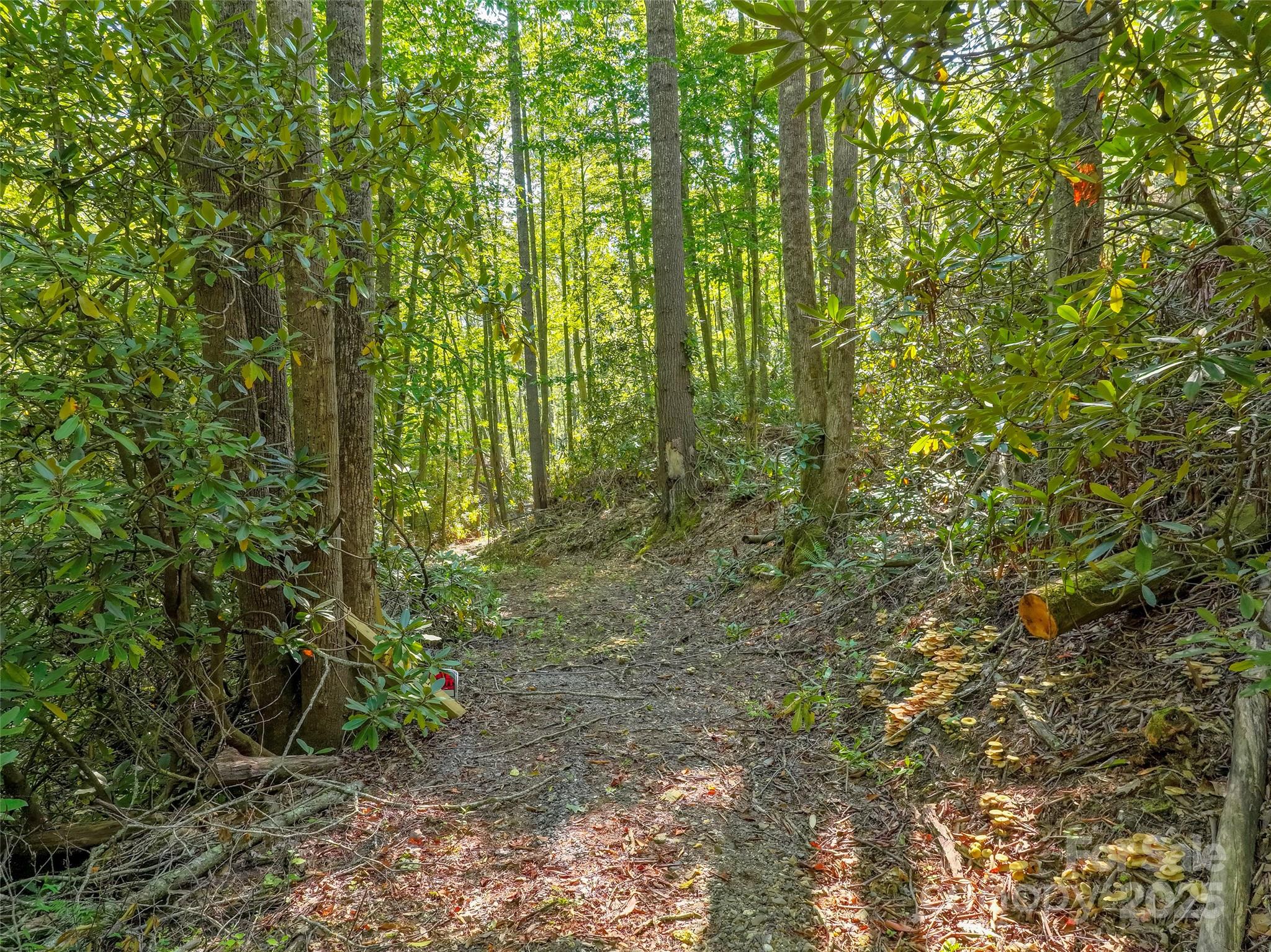 Lot 4 Rosewood Lane Burnsville NC 28714