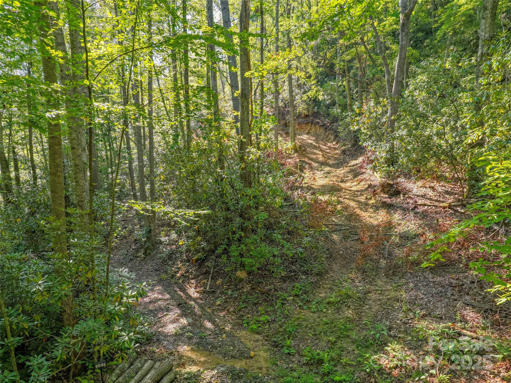 Lot 4 Rosewood Lane Burnsville NC 28714