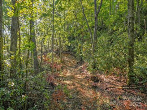 Lot 4 Rosewood Lane Burnsville NC 28714