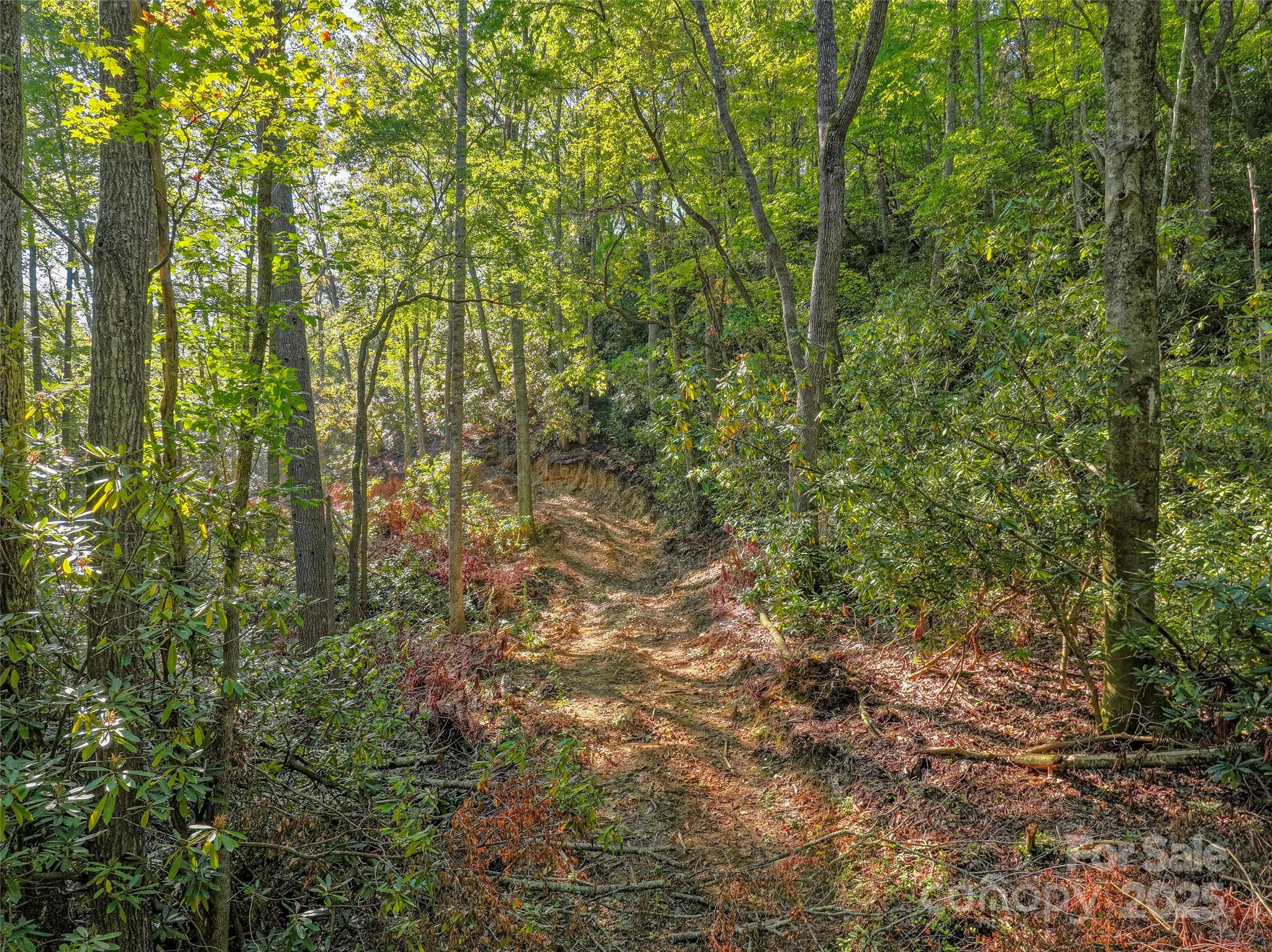 Lot 4 Rosewood Lane Burnsville NC 28714