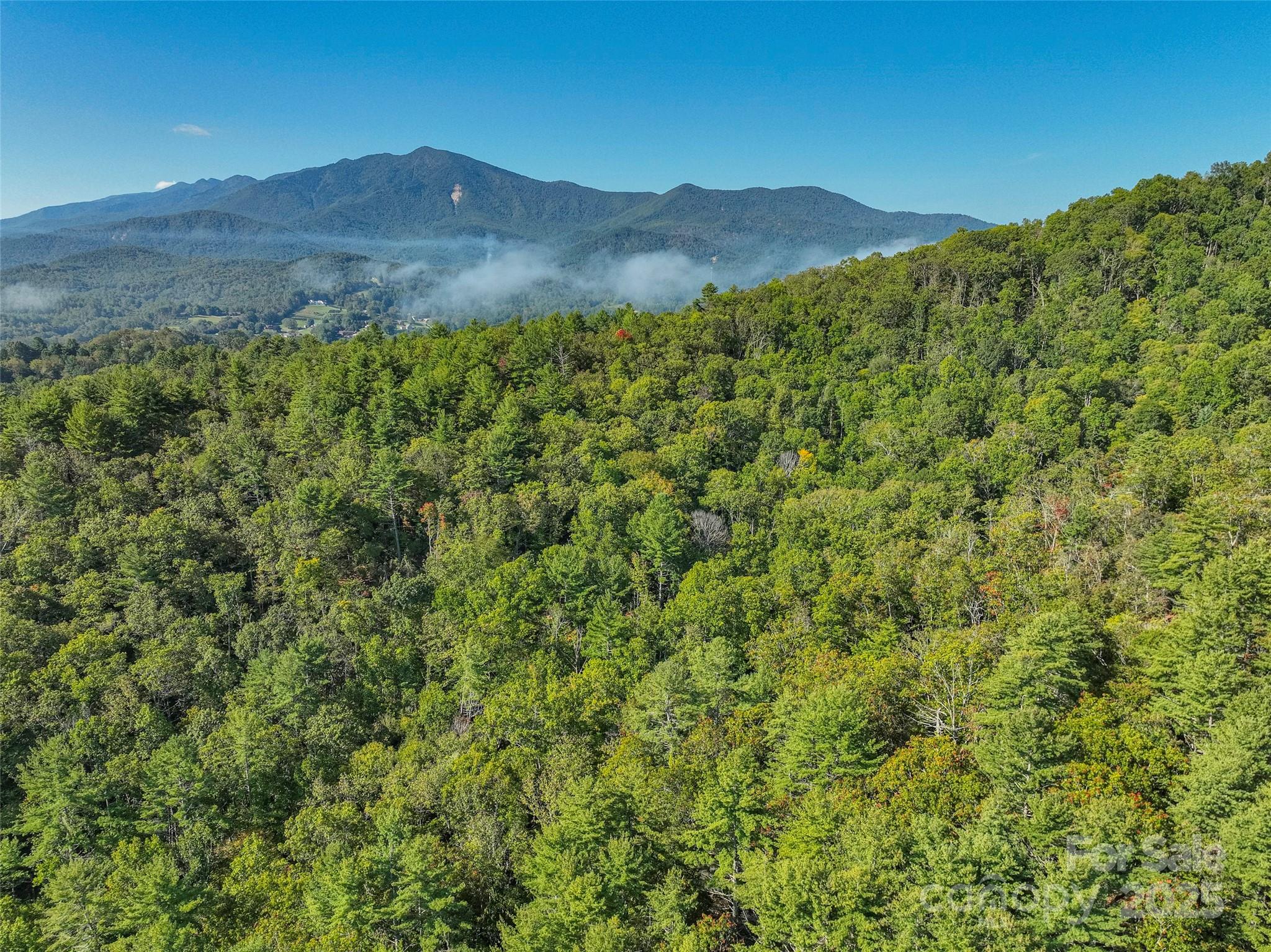 Lot 4 Rosewood Lane Burnsville NC 28714