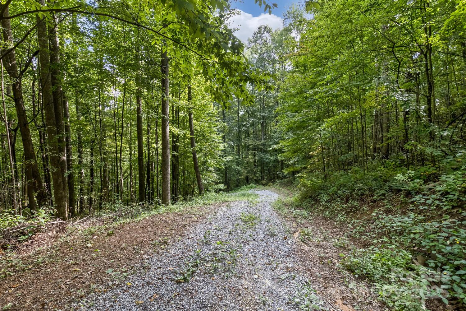 9999 Flowing Brook Lane Waynesville NC 28786