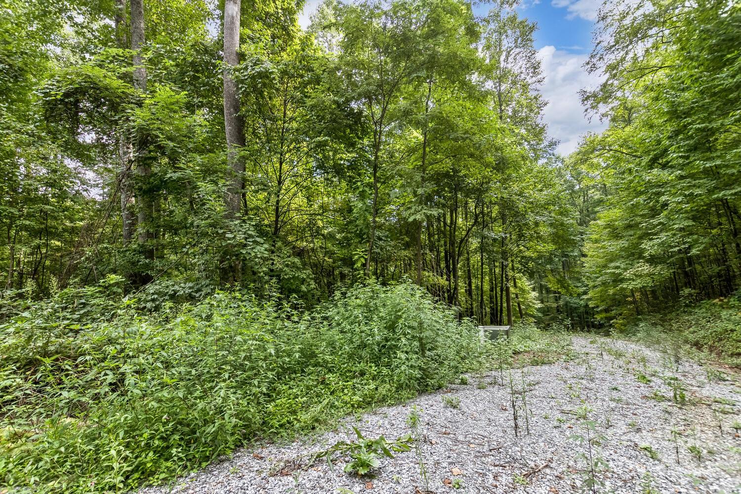 9999 Flowing Brook Lane Waynesville NC 28786