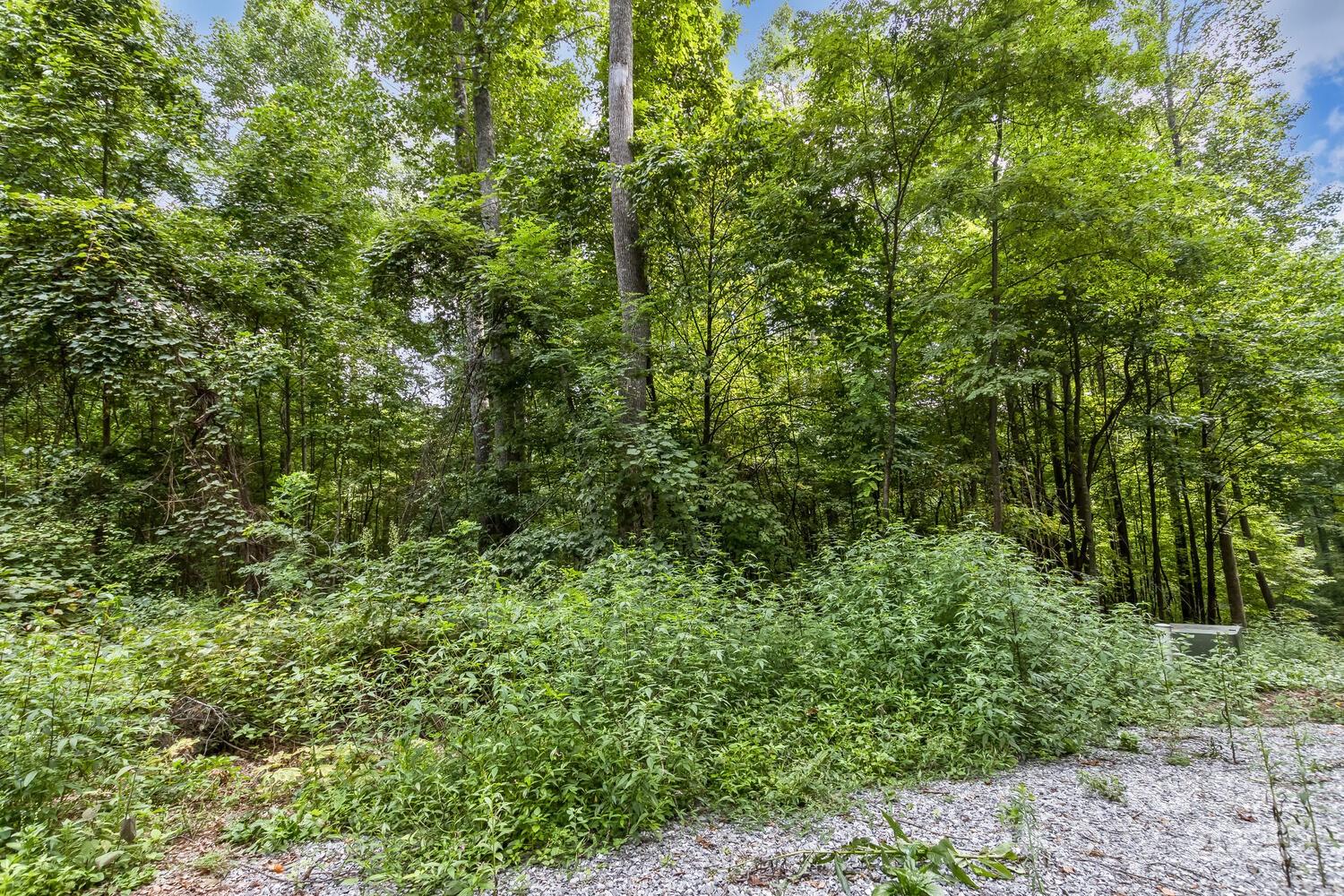 9999 Flowing Brook Lane Waynesville NC 28786