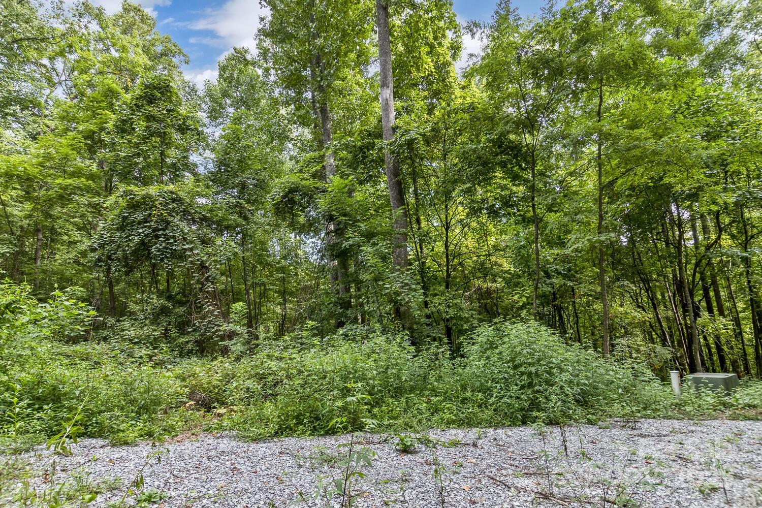 9999 Flowing Brook Lane Waynesville NC 28786