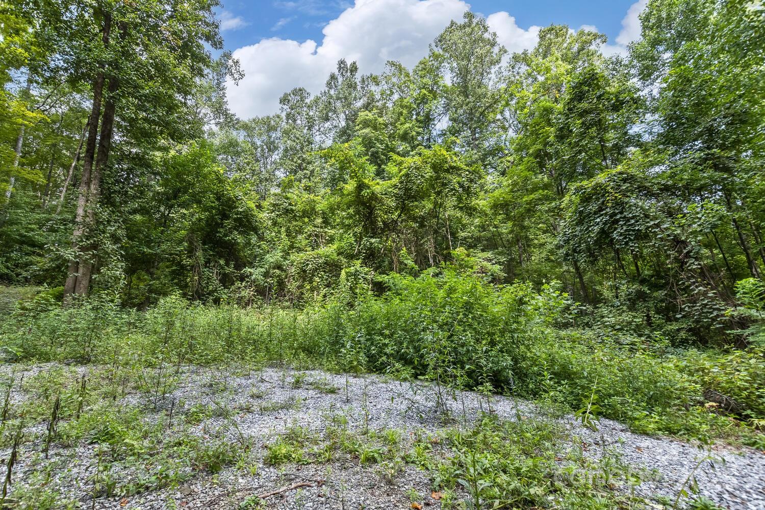 9999 Flowing Brook Lane Waynesville NC 28786