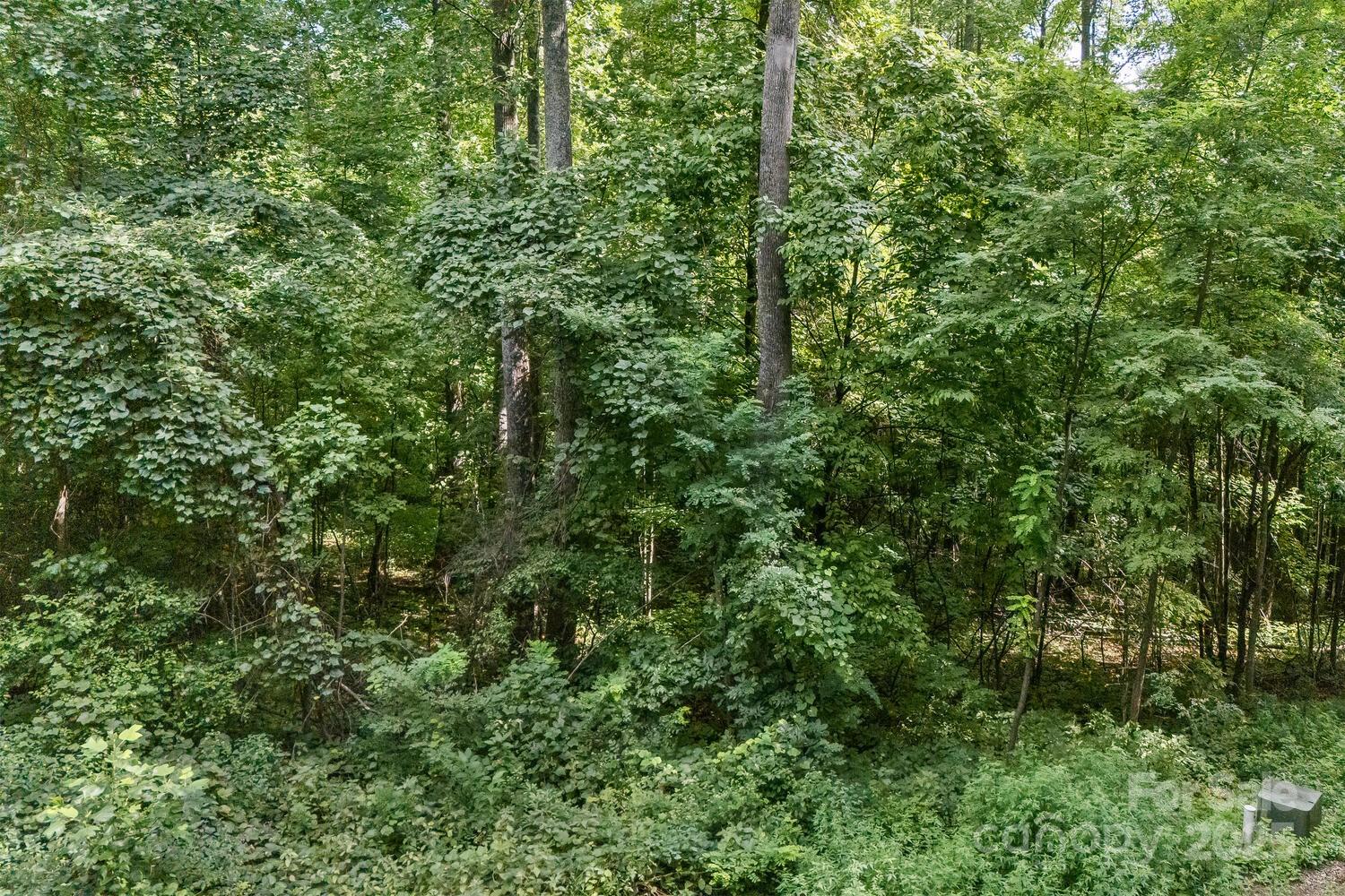9999 Flowing Brook Lane Waynesville NC 28786