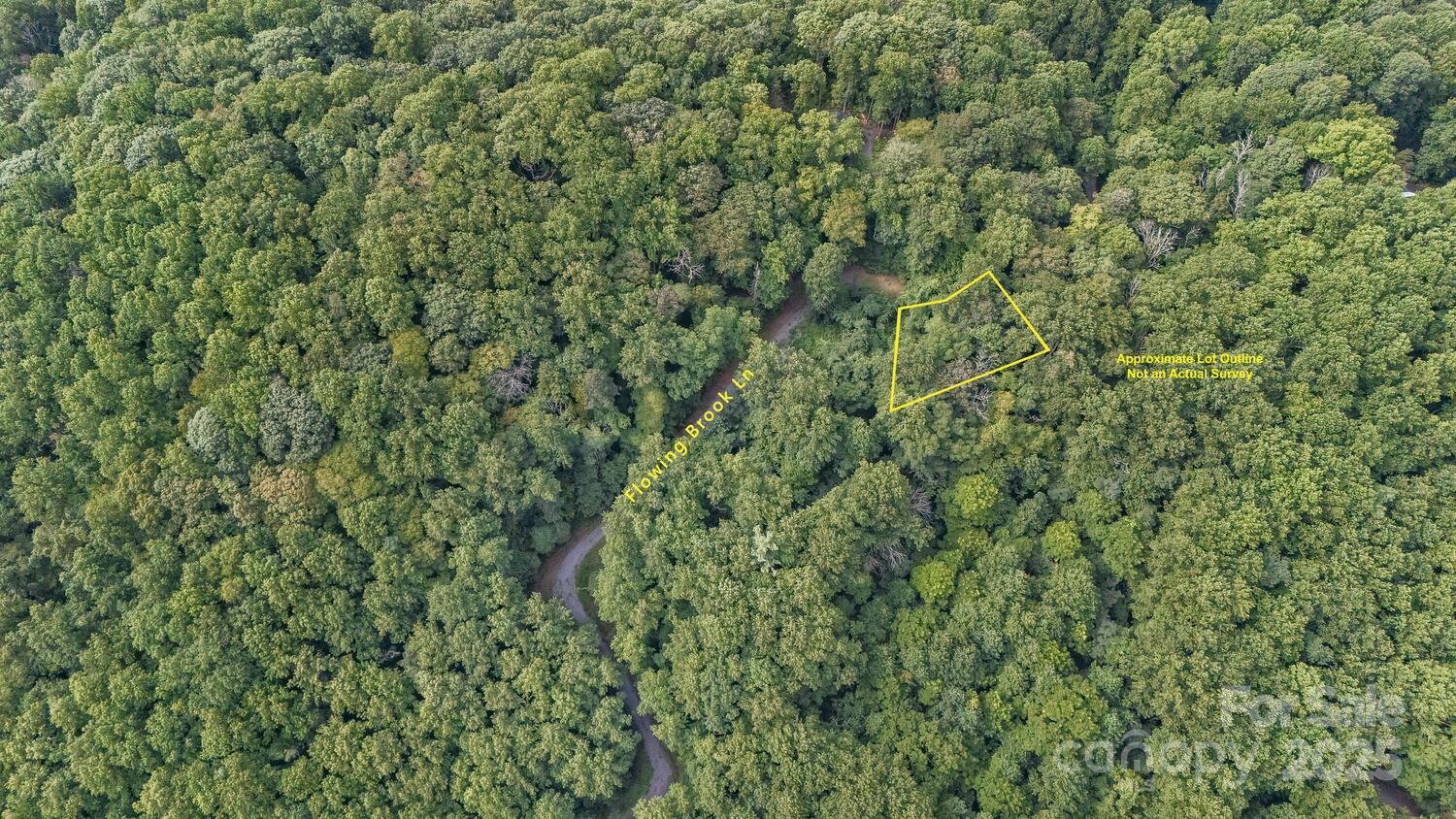 9999 Flowing Brook Lane Waynesville NC 28786