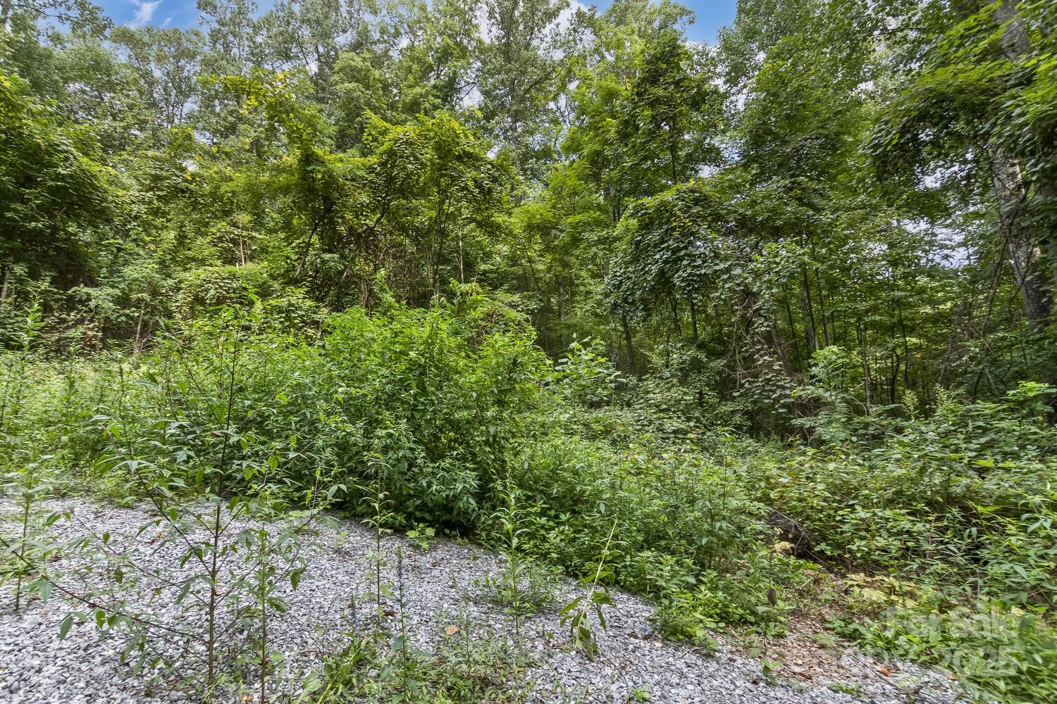 9999 Flowing Brook Lane Waynesville NC 28786