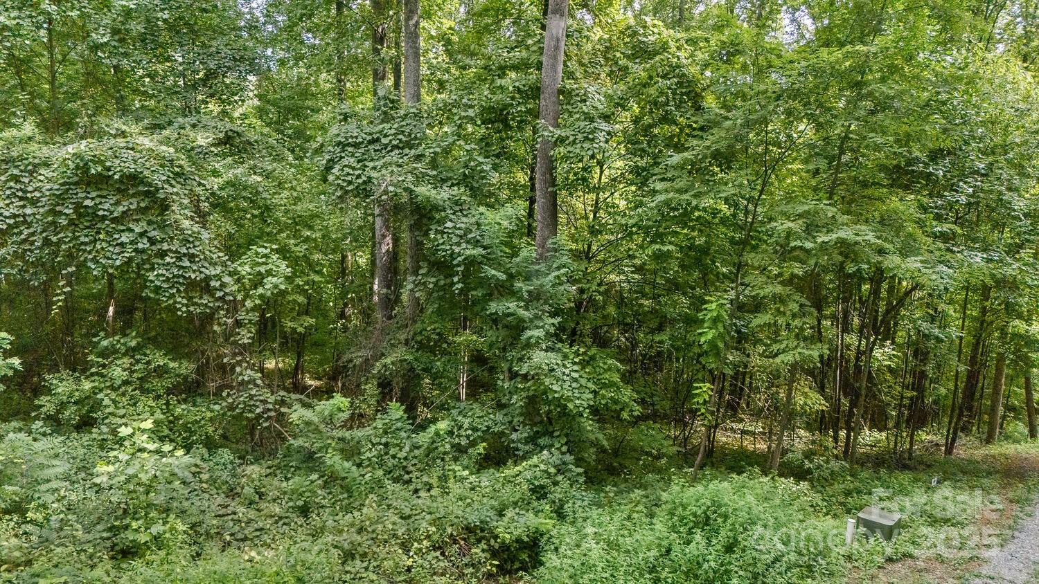 9999 Flowing Brook Lane Waynesville NC 28786