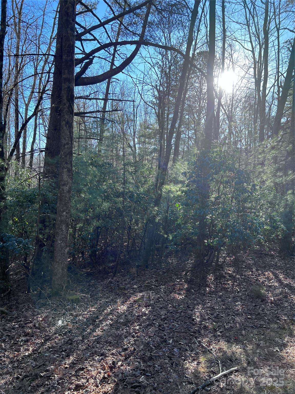 L26 Konnaneeta Trail Brevard NC 28712