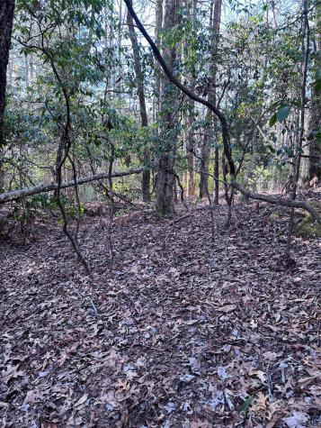 L26 Konnaneeta Trail Brevard NC 28712