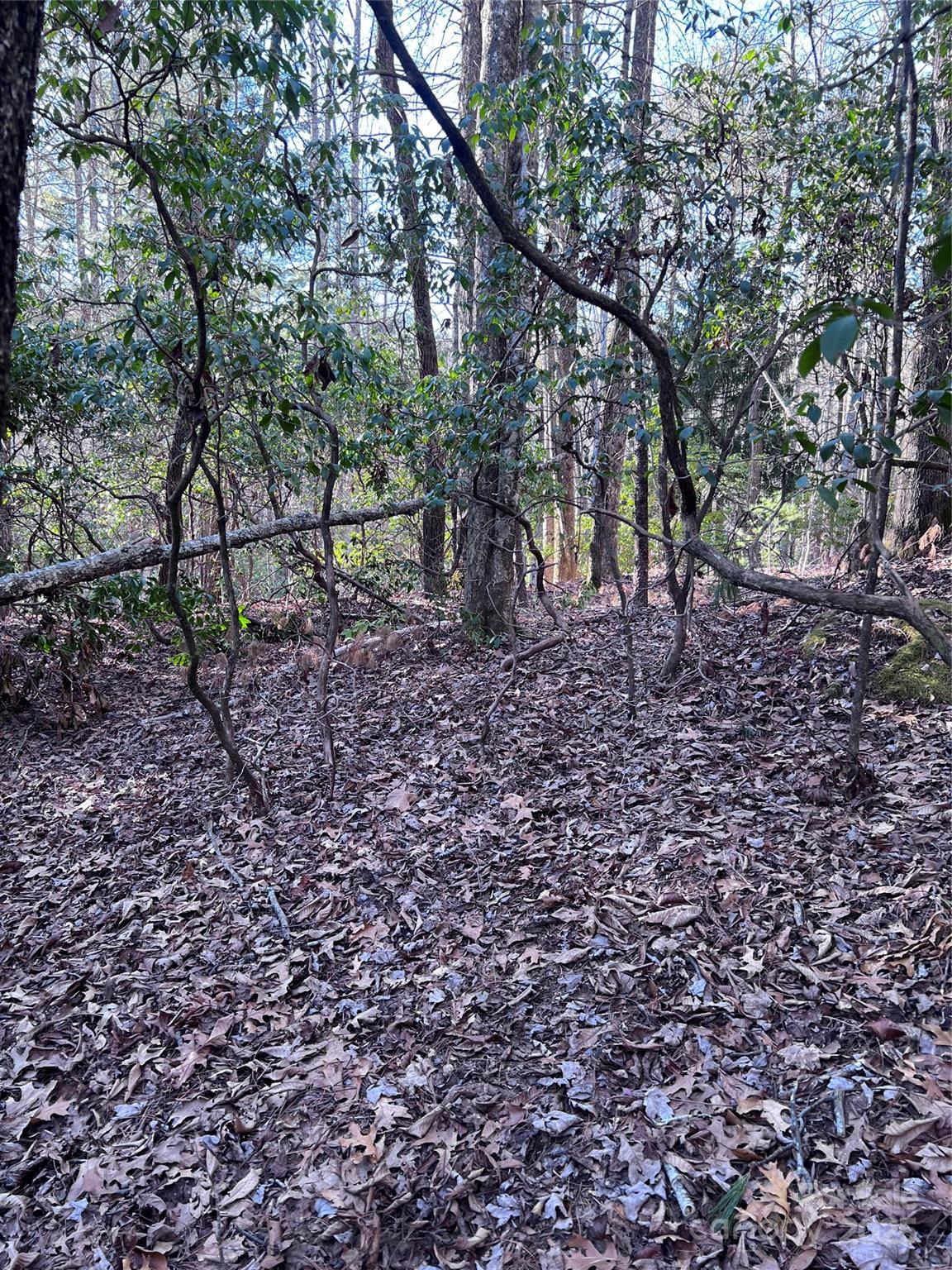 L26 Konnaneeta Trail Brevard NC 28712