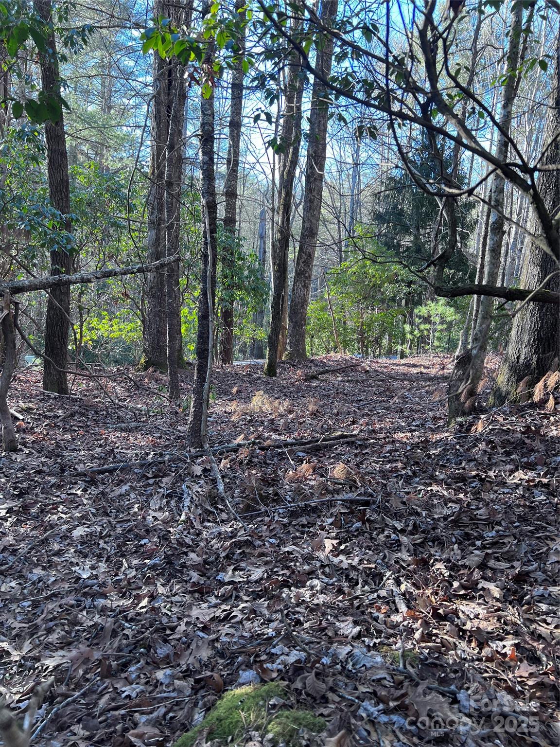 L26 Konnaneeta Trail Brevard NC 28712