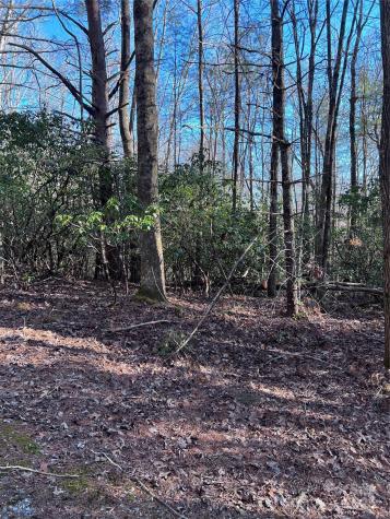 L26 Konnaneeta Trail Brevard NC 28712