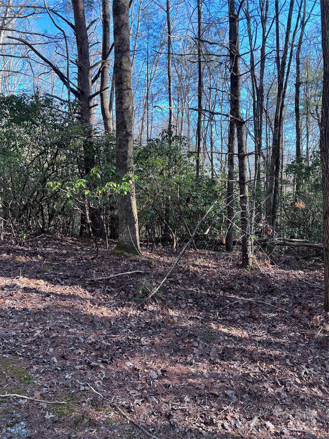 L26 Konnaneeta Trail Brevard NC 28712