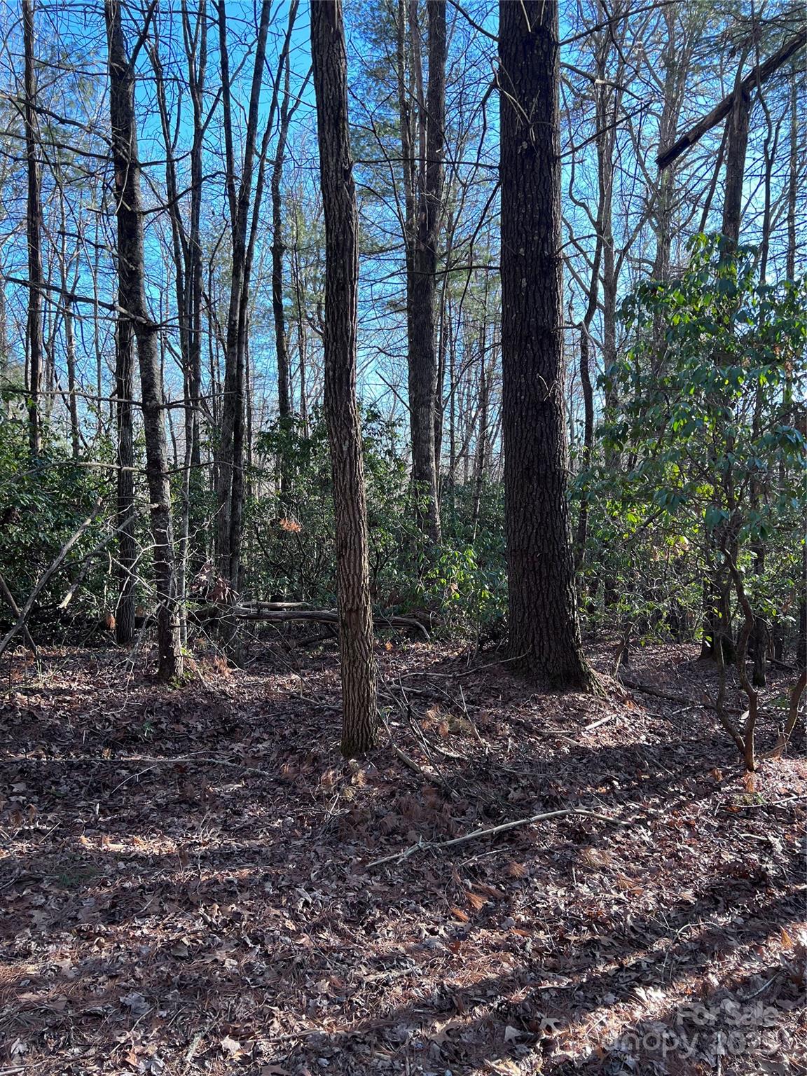L26 Konnaneeta Trail Brevard NC 28712
