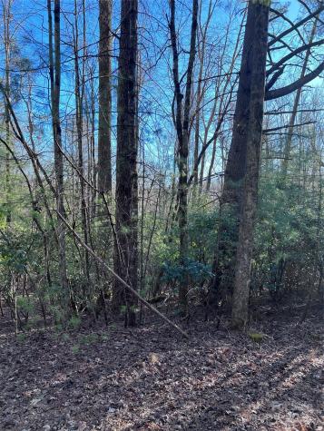 L26 Konnaneeta Trail Brevard NC 28712