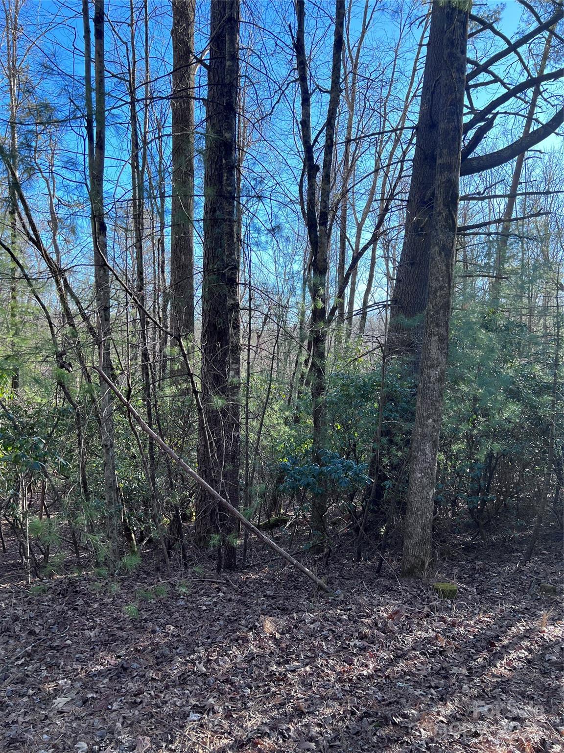 L26 Konnaneeta Trail Brevard NC 28712