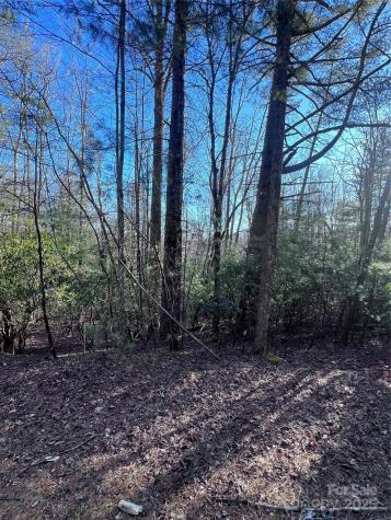 L26 Konnaneeta Trail Brevard NC 28712