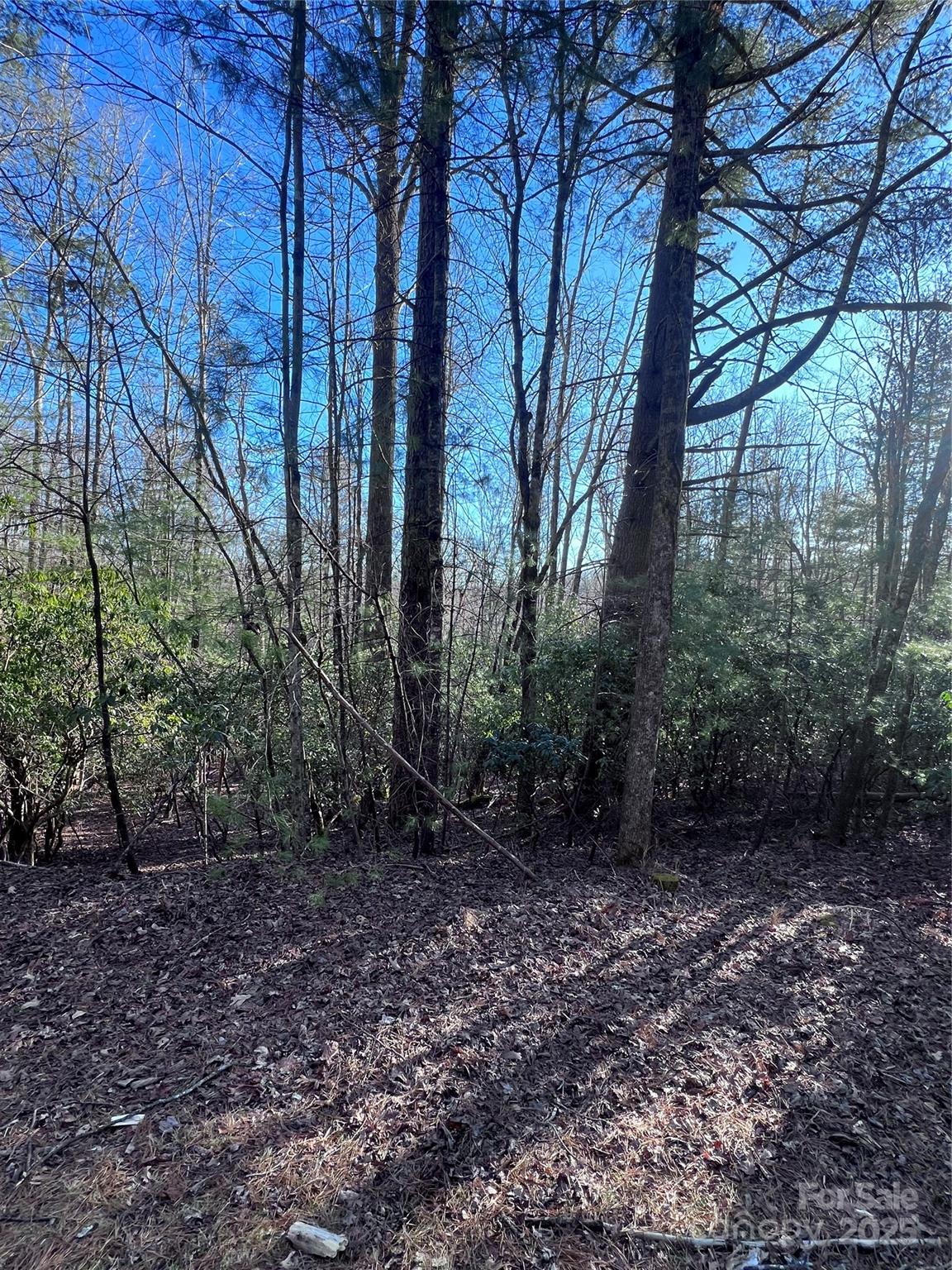 L26 Konnaneeta Trail Brevard NC 28712